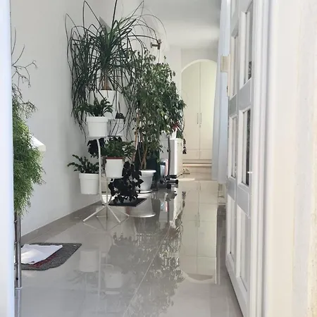 Apartmani Marivo Baška Voda Exterior foto